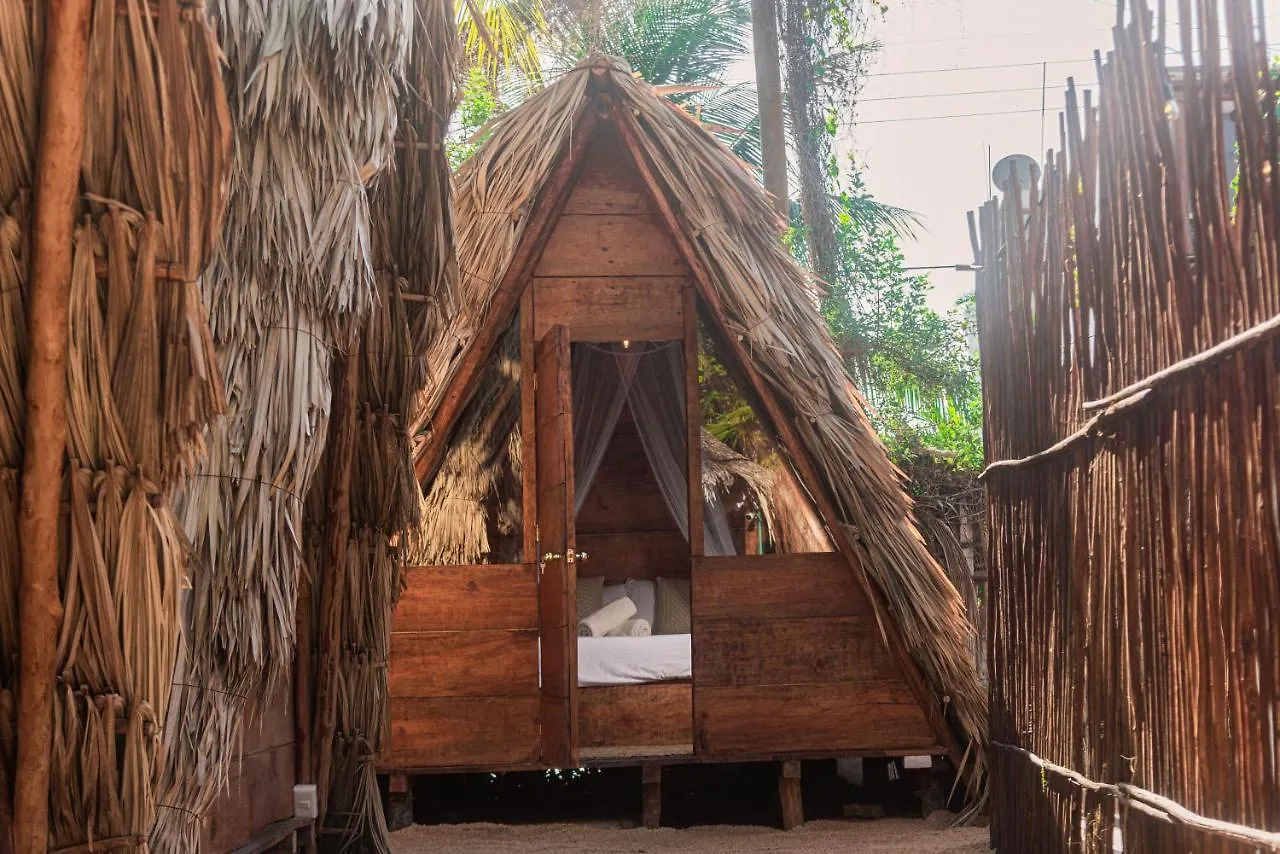 Pensión Mapache Hostel & Camping Isla Holbox México