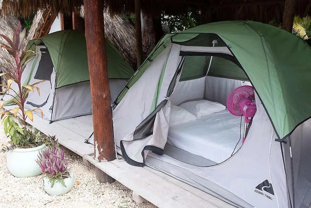 Mapache Hostel & Camping Isla Holbox Guest house
