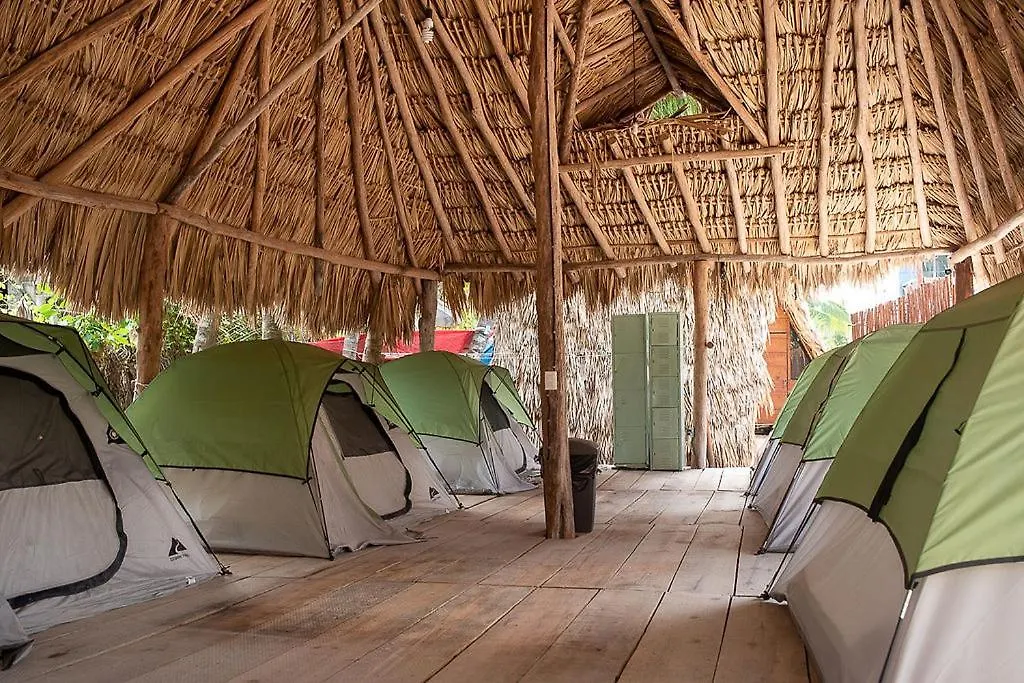 Mapache Hostel & Camping Isla Holbox Guest house