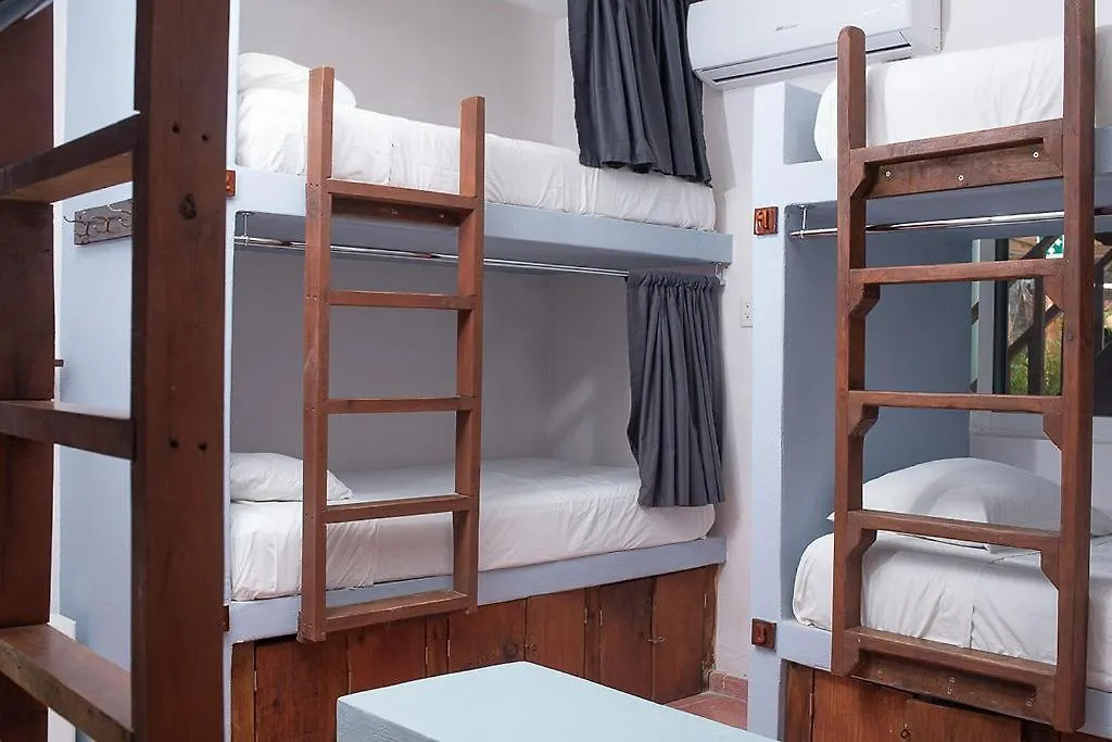 Guest house Mapache Hostel & Camping Isla Holbox