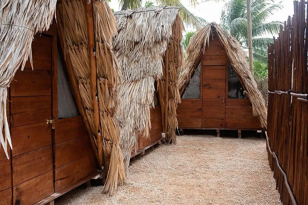 Mapache Hostel & Camping Isla Holbox Guest house