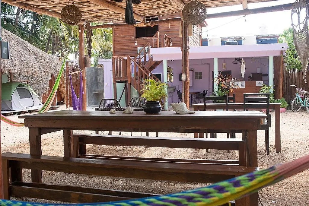 Guest house Mapache Hostel & Camping Isla Holbox Mexico