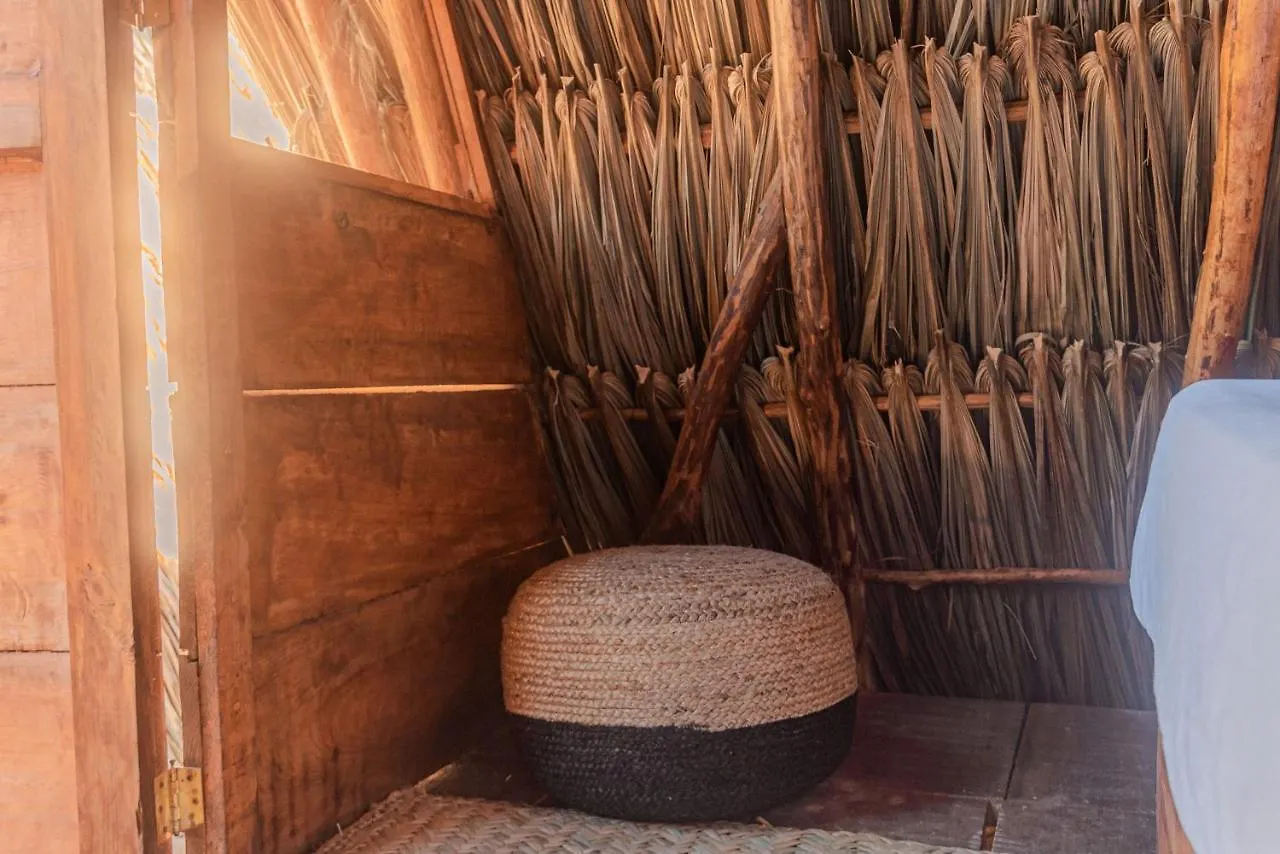 Mapache Hostel&Camping Isla Holbox