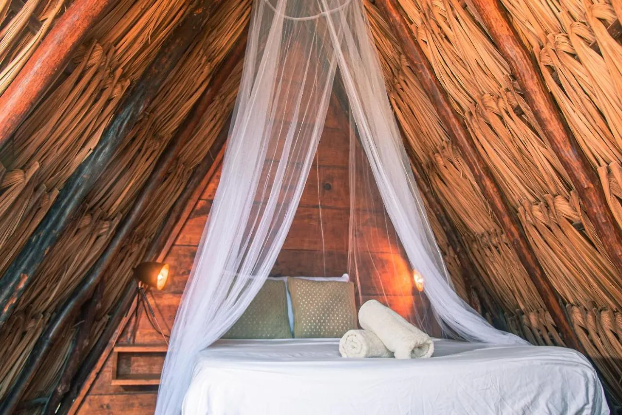 Mapache Hostel&Camping Isla Holbox Gasthof