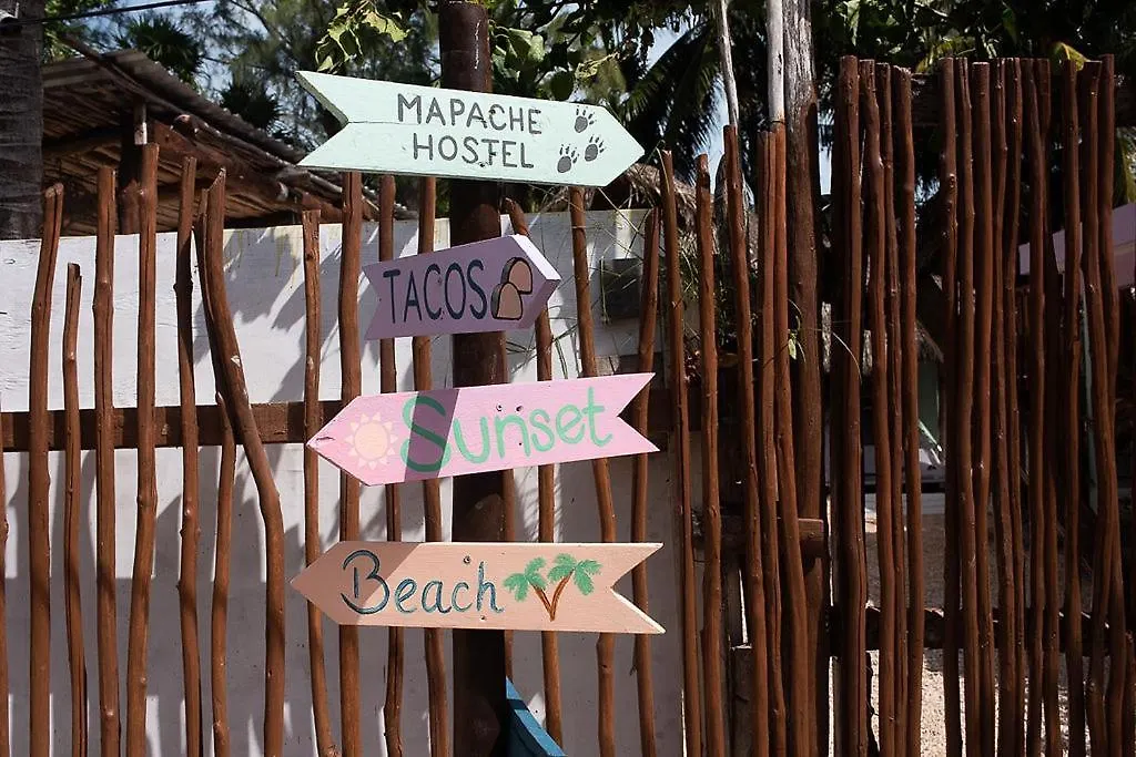 Mapache Hostel & Camping Isla Holbox