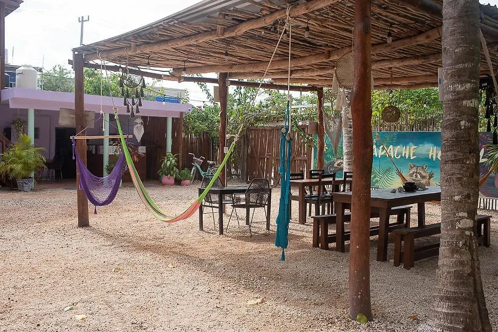 Mapache Hostel & Camping Isla Holbox 0*,  Meksyk